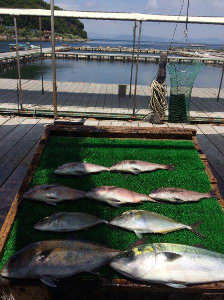 海の釣堀 海恵 釣果