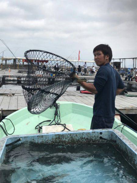 海の釣堀 海恵 釣果