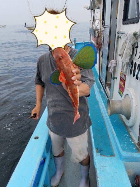 みやけ丸 釣果