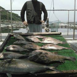 海の釣堀 海恵 釣果