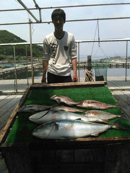 海の釣堀 海恵 釣果