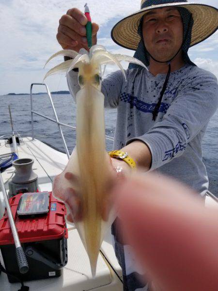 ソルトウォーターガイドフレンズ 釣果