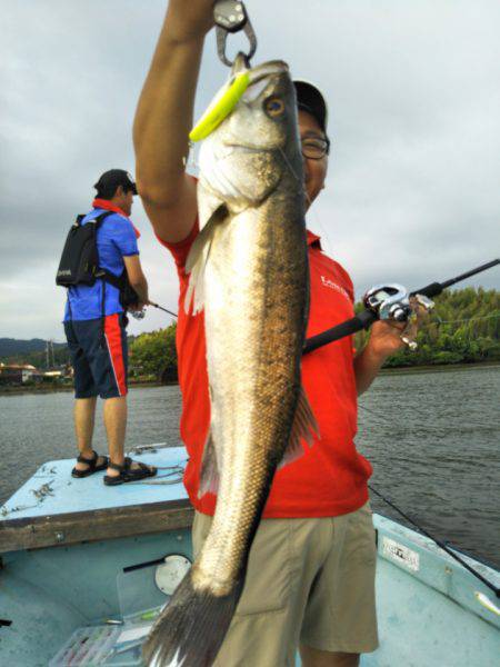 アマテラス 釣果