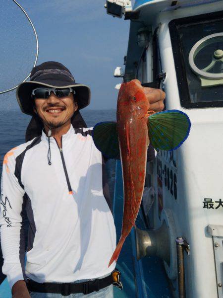 みやけ丸 釣果