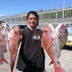 だて丸 釣果