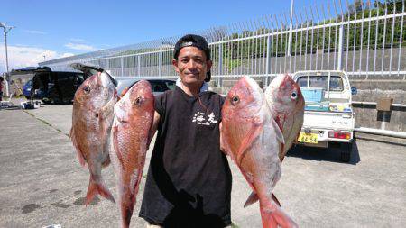 だて丸 釣果