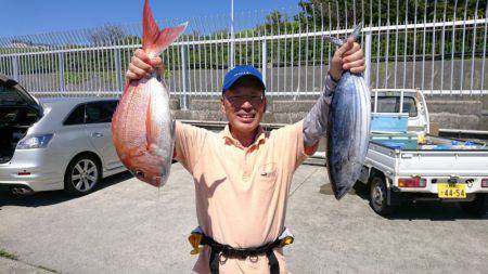 だて丸 釣果