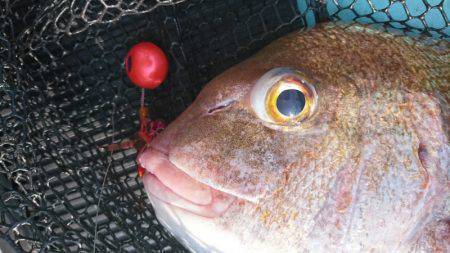 和栄丸 釣果