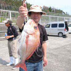 だて丸 釣果