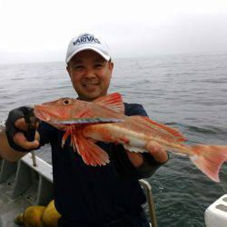 ありもと丸 釣果