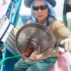 ぽん助丸 釣果