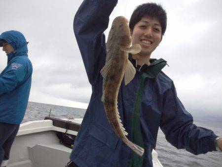 ひな丸 釣果