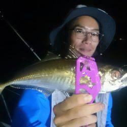 シースナイパー海龍 釣果