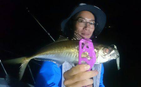 シースナイパー海龍 釣果