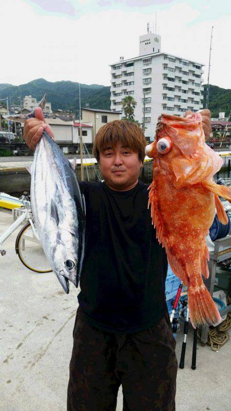 ゆたか丸 釣果