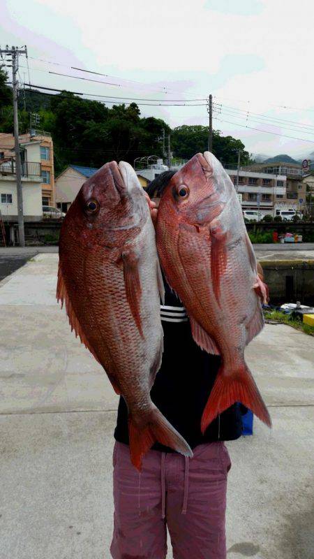 ゆたか丸 釣果