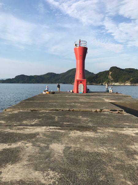 津田沖一文字で10cmアジ多数釣れました。