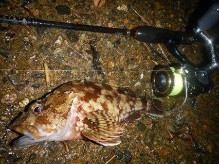 小物釣り