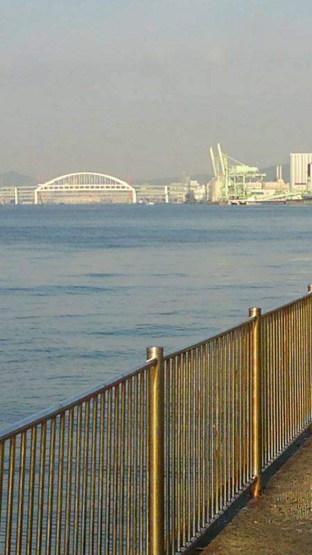 豆イワシなどそこそこ釣れました