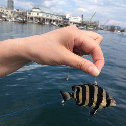 日中の釣り