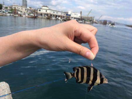 日中の釣り