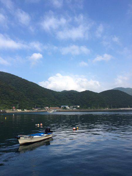 高知は古満目漁港で夏イカ狙い❗️