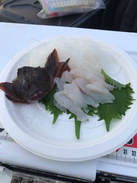 野島沖堤防で刺身を食いました！