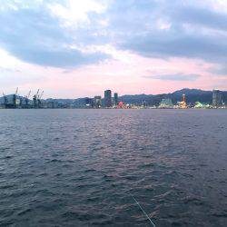 神戸ポートアイランド タチウオ釣り