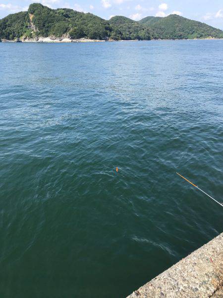 津田沖一文字で10cmアジ多数釣れました。