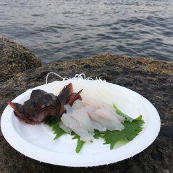 野島沖堤防で刺身を食いました！