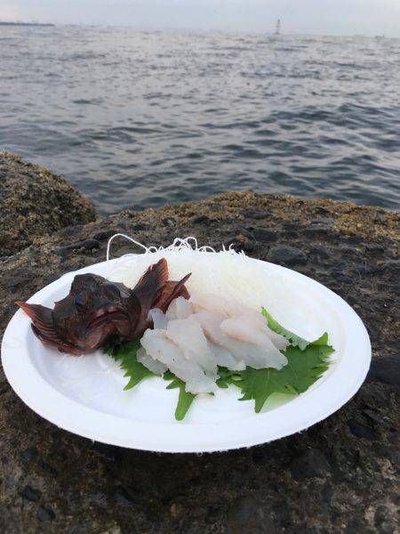 野島沖堤防で刺身を食いました！