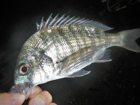 小物釣り