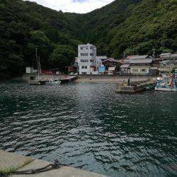 海の幸たくさん