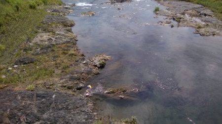 上桂川亀の甲橋