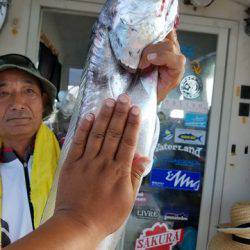 遊漁船　ニライカナイ 釣果