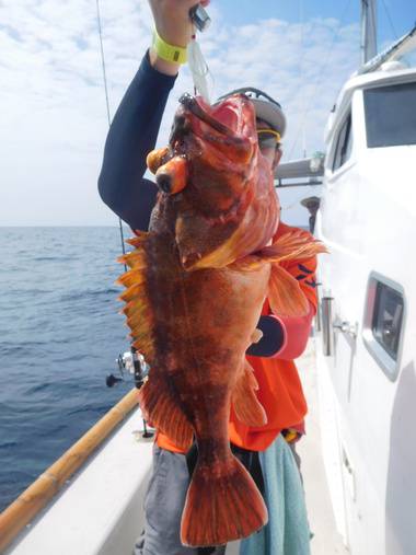 随功丸 釣果