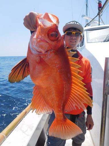 随功丸 釣果