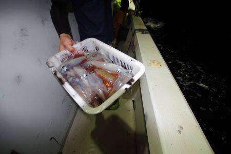 オーシャンズ　京都 釣果