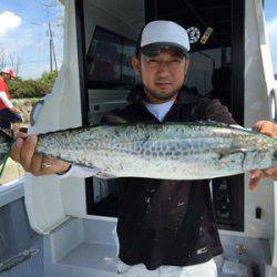 ミタチ丸 釣果