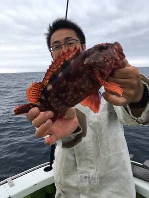 松栄丸 釣果