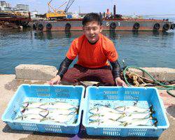 魚英 釣果