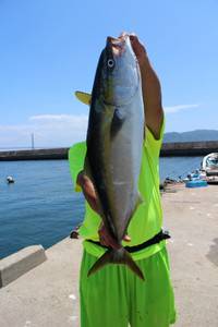 魚英 釣果