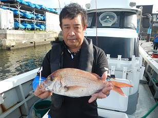 はたの家 釣果