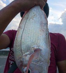 秀丸 釣果