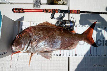 フルコンタクト 釣果