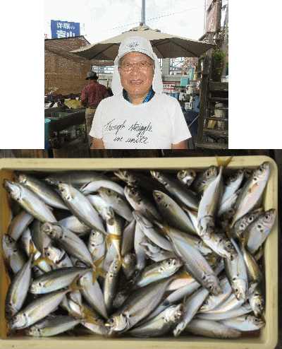 荒川屋 釣果