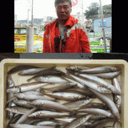 荒川屋 釣果