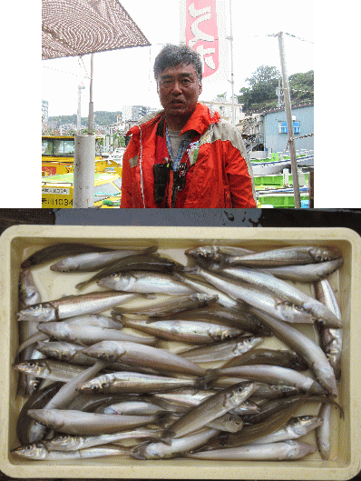 荒川屋 釣果