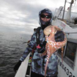 かもめ釣船 釣果