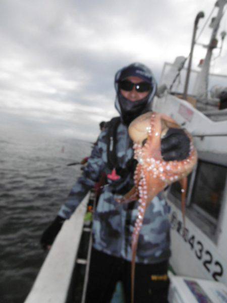 かもめ釣船 釣果